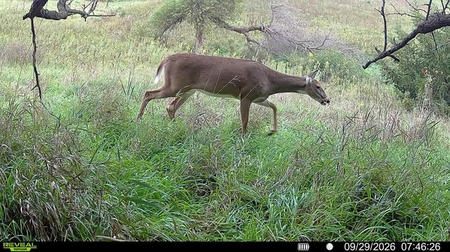 Next Photo